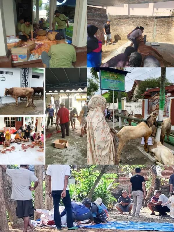 Maknai Idul Adha 2026, BRI Branch Office Trenggalek Salurkan Hewan Kurban Bagi Masyarakat Kurang Mampu