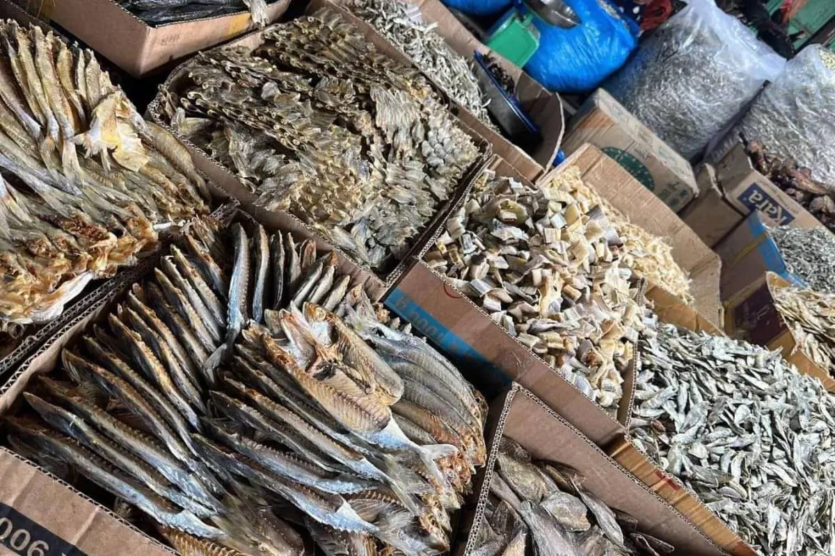 Waduh Ikan Asin Masuk dalam Golongan Karsinogen 1, Pencetus Kanker