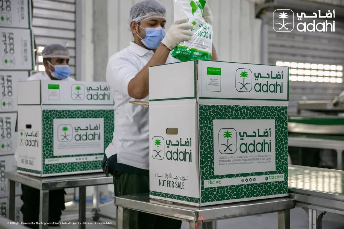 Pembayaran Dam Resmi Arab Saudi Melalui Adahi, Kemenhaj: Dilarang Beli Sendiri di Pasar Hewan