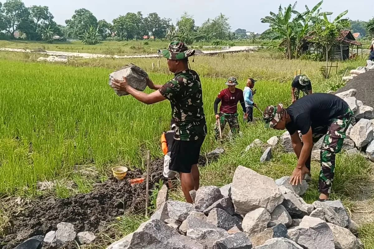 TMMD 128 Gresik Hidupkan Gotong Royong di Sawah Slempit Lewat Pembangunan TPT
