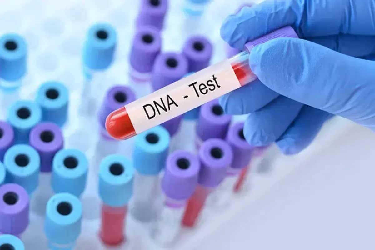 Manfaat Cek DNA untuk Memahami Kesehatan dan Tubuh Anda