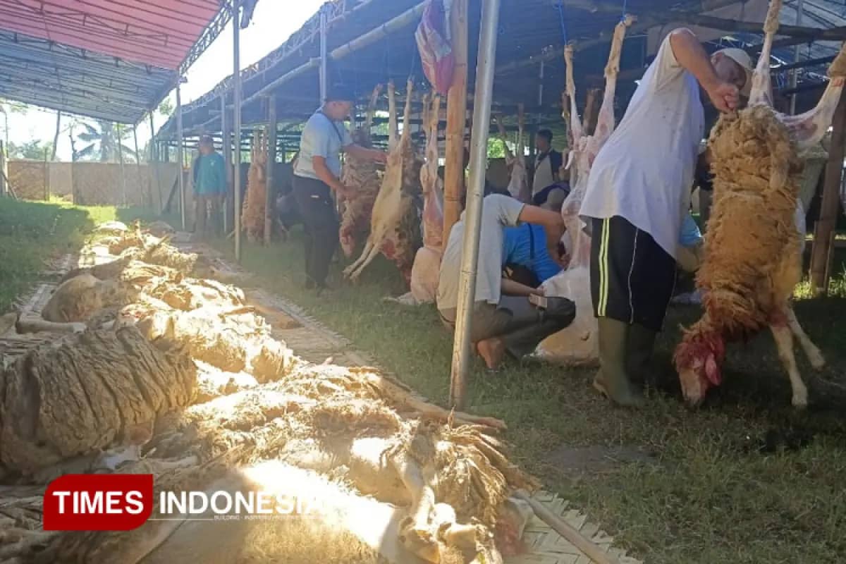 Pemkab Bondowoso Minta Penyembelihan Hewan Kurban Tak Mengotori Lingkungan