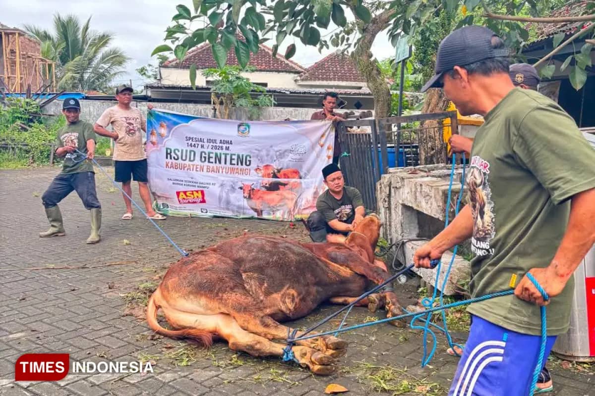 Momen Idul Adha 2026, ASN RSUD Genteng Banyuwangi Salurkan Hewan Kurban untuk Warga