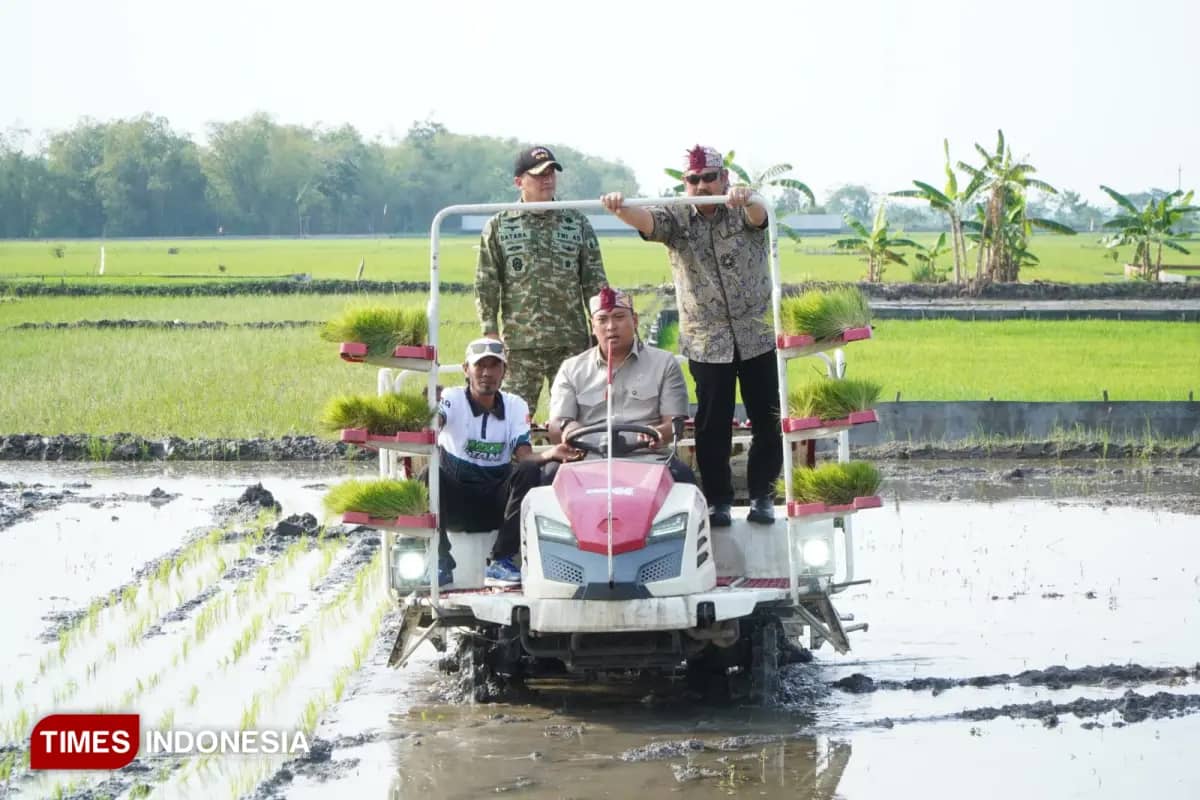 Dongkrak Produktivitas dan Hilirisasi Pertanian di Lamongan, Pemerintah Kucurkan Bantuan Alsintan Modern