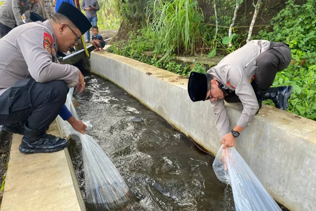Saat Ribuan Benih Ikan Menghidupkan Sungai dan Warga Desa Pakel Banyuwangi
