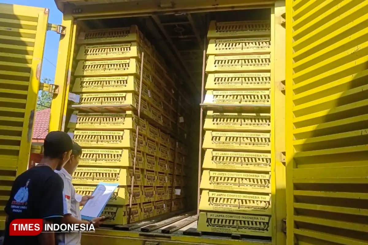 Pemkab Bondowoso dan KPSI Bagikan 20 Ribu DOC Ayam ke Warga