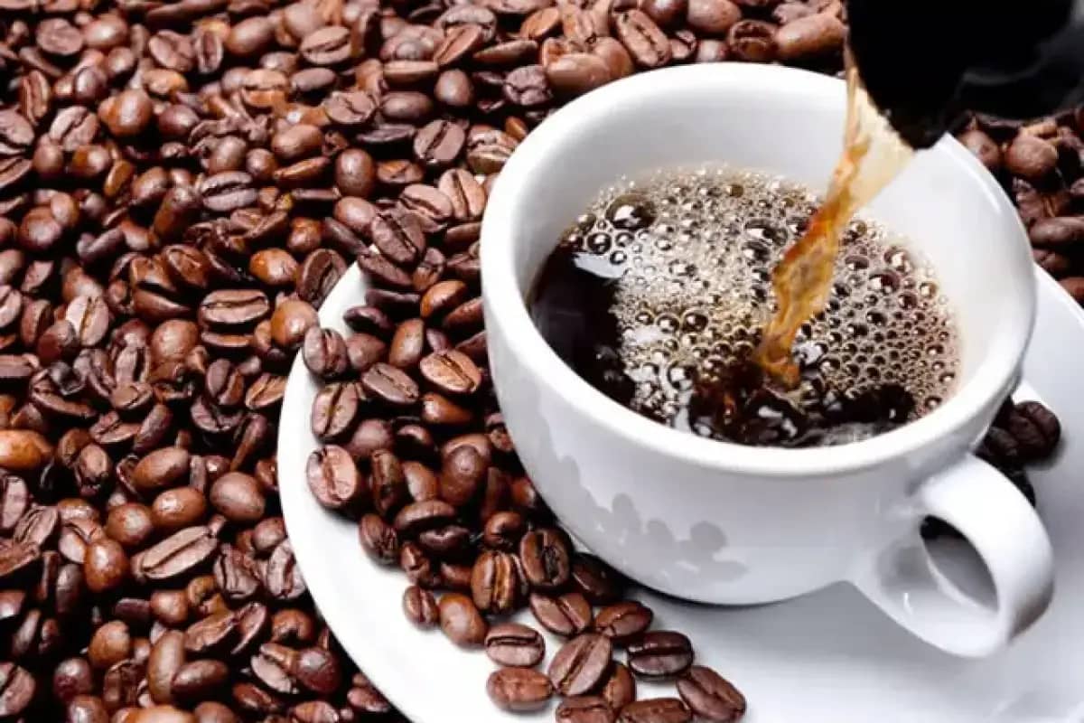 Minum Kopi Rutin Dikaitkan dengan Umur Lebih Panjang, Ini Penjelasan Ilmiahnya Fetured Image