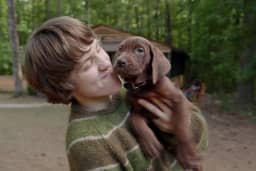 Scooby-Doo Versi Live-Action Hadir dengan Anjing Asli