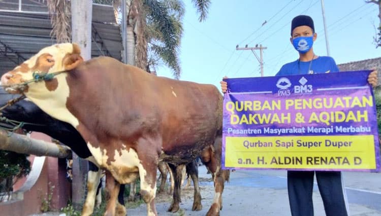 Jenis dan Syarat Sah Hewan Qurban