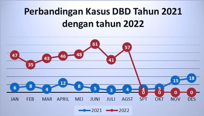 Waspada! Ratusan Orang di Banyuwangi Terserang DBD, Sembilan Orang Meninggal Dunia