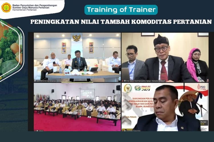 Kementan Tingkatkan Nilai Tambah Komoditas Pertanian, Ini Kata DPD RI