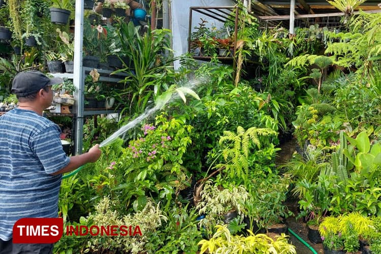 Pasar Bunga Splendid, Surga Menyegarkan di Tengah Kota Malang