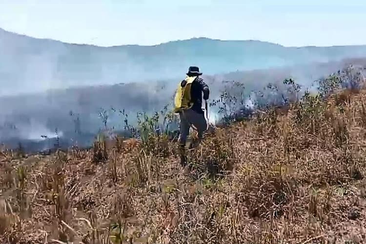 Sekitar 249 Hektare Hutan Rawan Terbakar, Begini Penjelasan Balai TN Matalawa Sumba