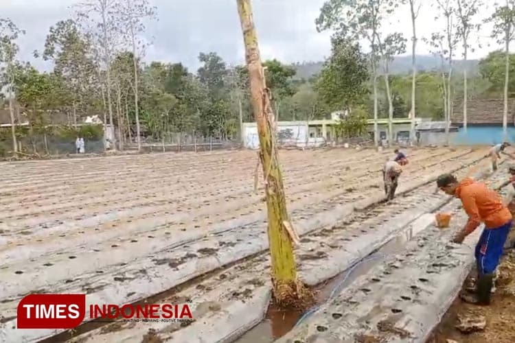 PP Nurud Dhalam Bondowoso Edukasi Santri Jadi Pengusaha melalui Pesantren Menanam