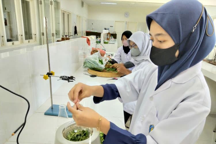 Mahasiswa PKM-RE UNIPMA Ciptakan Health Lotion dari Ekstrak Daun Salam dan Bunga Telang