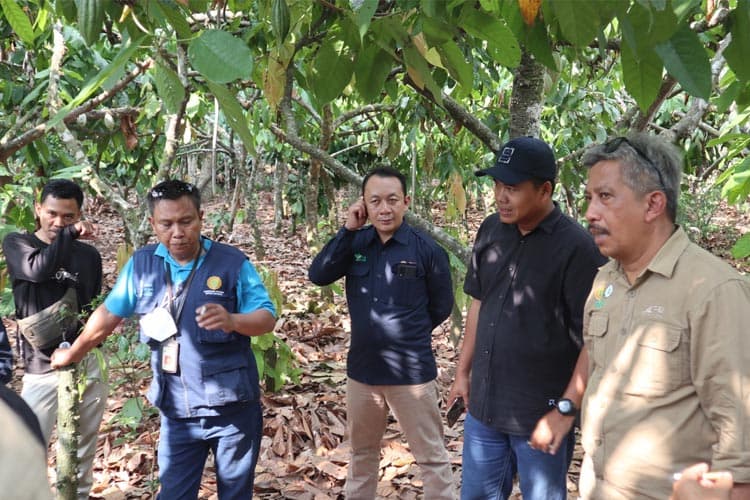 Polbangtan Malang Perkuat Kapasitas Petani Milenial Kakao