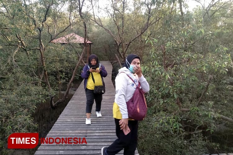 Healing di Hutan Mangrove Karangkiring, Wisata Gratis Tengah Kota Gresik