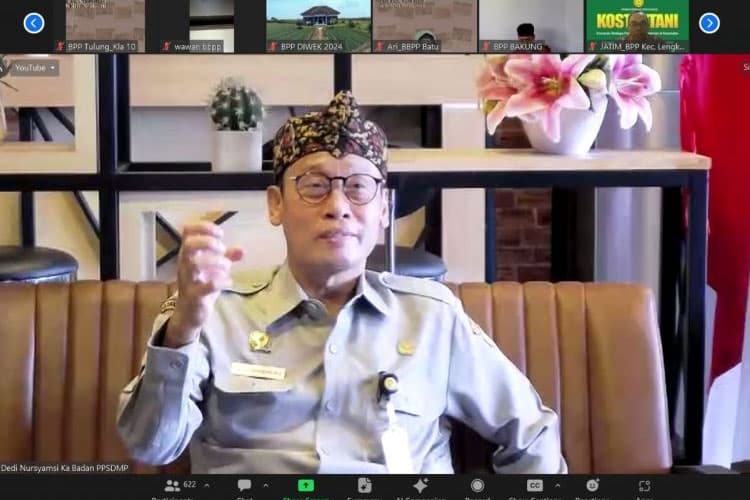 Ladang Cuan, Usaha Ternak Burung Puyuh Modal Kecil Profit Besar