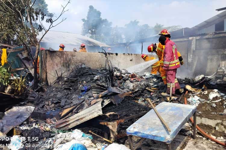 Tempat Rongsokan di Malang Terbakar, Anjing Peliharaan Mati Terpanggang
