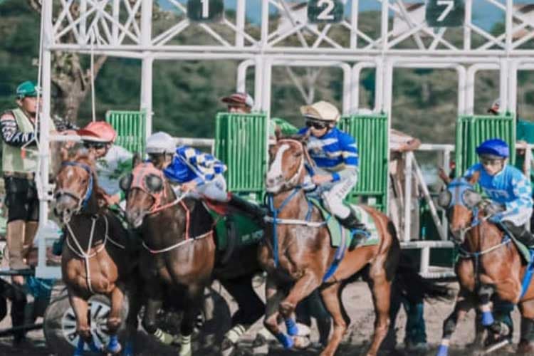 148 Kuda Berlaga di Stadion Sultan Agung Bantul, Rebut Hadiah 1,2 Miliar