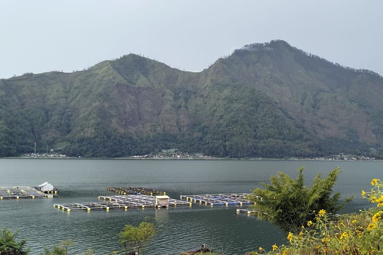 BTR Ultra 2025: Pesona Gunung Batur di Mata Pelari Dunia
