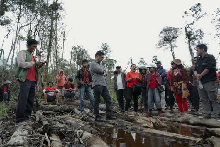 DPR Desak Pemerintah Hentikan Deforestasi Hutan di Sumatera Utara
