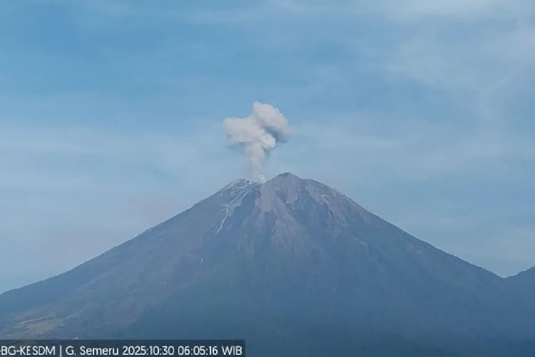 Gunung Semeru Erupsi Delapan Kali dalam Enam Jam, Kolom Abu Capai 800 Meter