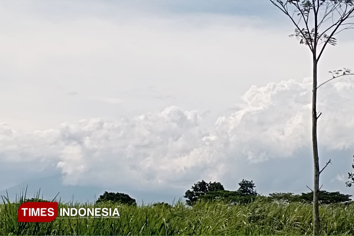BMKG Keluarkan Peringatan Dini Angin Kencang di Malang Raya, Warga Diminta Waspada