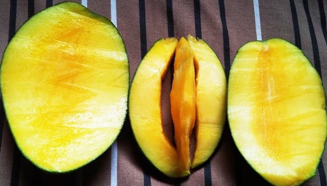Jangan Buru-Buru Dibuang, Biji Mangga Bisa Diolah Lho