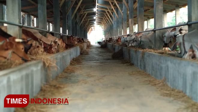 Tenaga Kerja Peternakan Indonesia Berdasarkan Sebaran Umur dan Status Pekerjaan