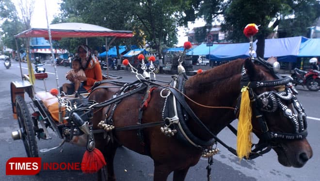 Dokar, Kendaraan Tradisional Pilihan Wisatawan Keliling Magetan