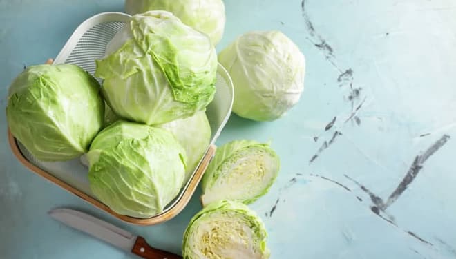 Benarkah Berlebihan Makan Sayur Kol Bikin Bau Badan?
