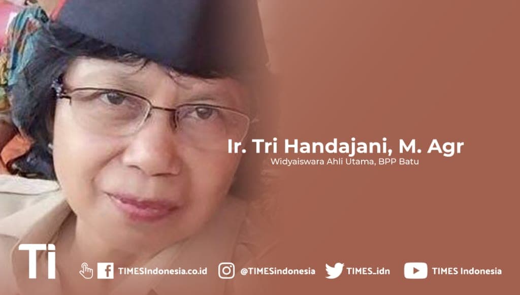 P4S Adalah Kelembagaan SDM Handal Pedesaan