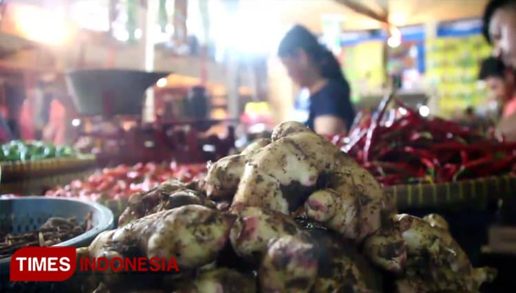 Dipercaya Mampu Menangkal Virus Corona, Harga Jahe Merah Melonjak Dua Kali Lipat