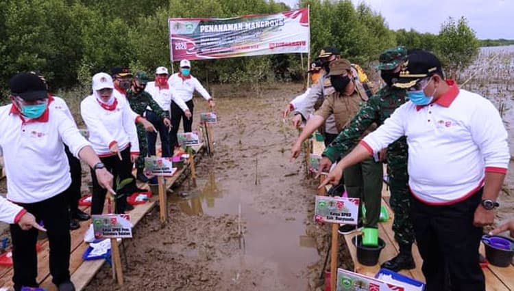 Penuh Pesona, Taman Nasional Sembilang Ditanami Mangrove oleh Pemkab Banyuasin