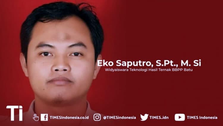 Dampak Covid-19 Pada Jumlah Penyembelihan Hewan Kurban Di Jawa Timur