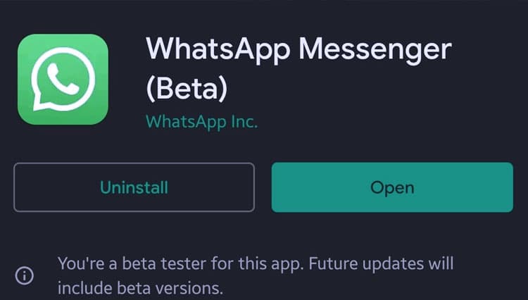 Tampilkan Dua Versi Beta Terbaru, Ini Fitur Terbaru Pengembangan WhatsApp