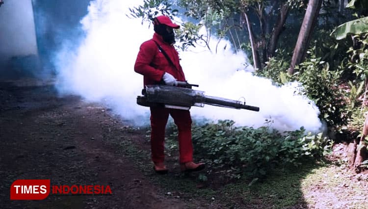 Kasus DBD Mulai Muncul di Kecamatan Ijen Bondowoso