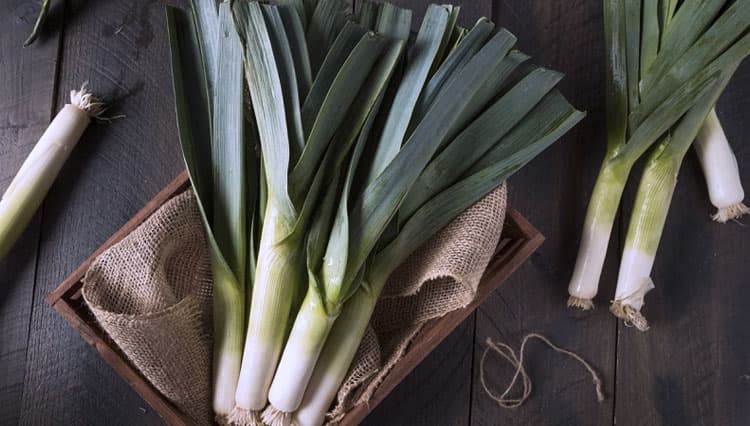 Mengenal Ragam Jenis Bawang Daun dan Karakteristiknya