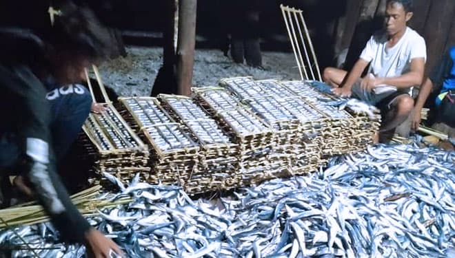 Kapal Penangkap Telur Ikan Terbang Diamankan, Nelayan Desa Penu Panen Ikan Julung-julung