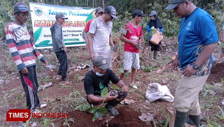 Tiga Desa di Bondowoso Jadi Pilot Project Kampung Buah Alpukat
