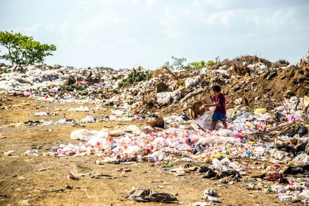 Open Dumping dan Bakar Sampah Ilegal Masih Marak, UGM Soroti Minimnya Anggaran Daerah