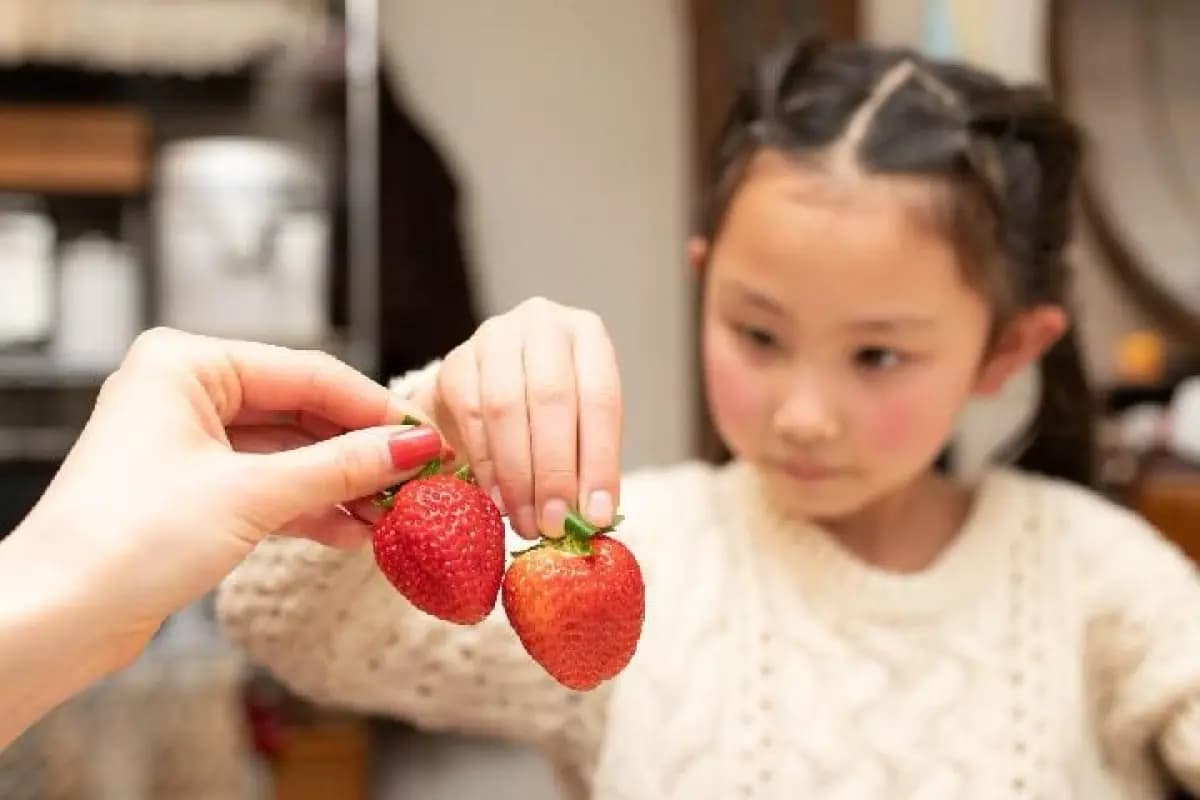 Pakar UKM Menilai Pola Asuh Memanjakan Anak Memicu Munculnya Generasi Strawberry