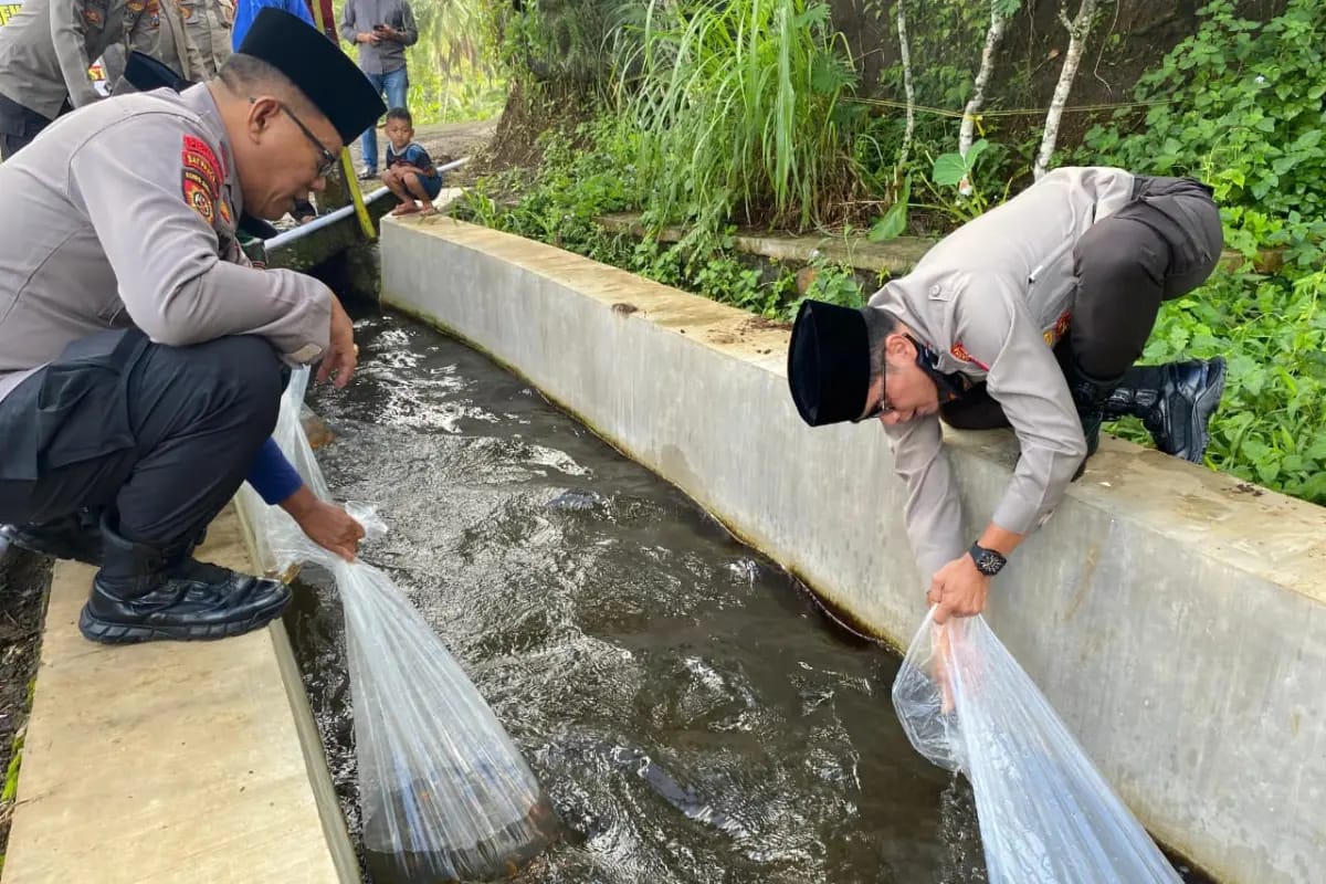 Saat Ribuan Benih Ikan Menghidupkan Sungai dan Warga Desa Pakel Banyuwangi