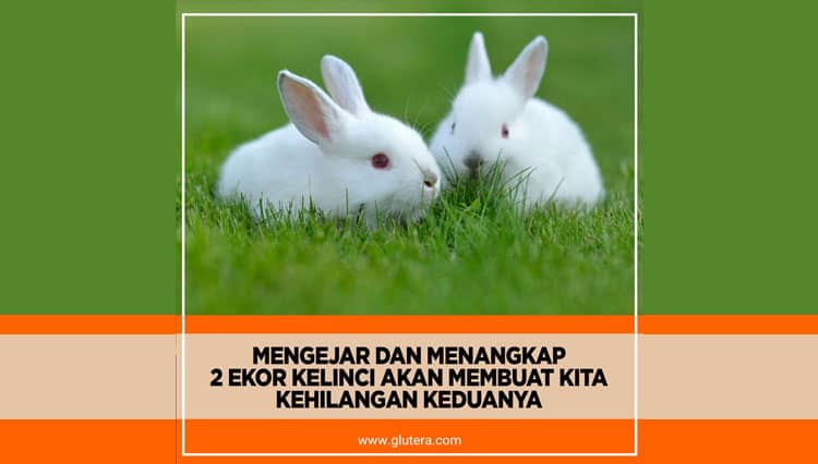 Orang yang Mengejar dan Menangkap 2 Kelinci, Akan Kehilangan Keduanya