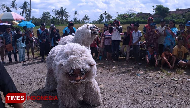 Cerita Tarian Singo Ulung dan Pertengahan Bulan Sya'ban di Bondowoso
