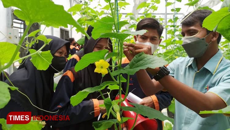 Polije Sebagai Perguruan Tinggi Vokasi Dinilai Linier Bagi Siswa SMK