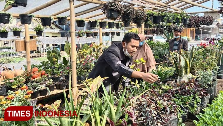 Sukseskan Food Estate, Siswanto Semangati Milenial Blora Jadi Petani dan Peternak
