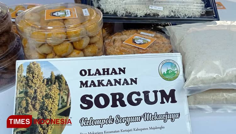 Majalengka Kembangkan Budidaya Tanaman Sorgum