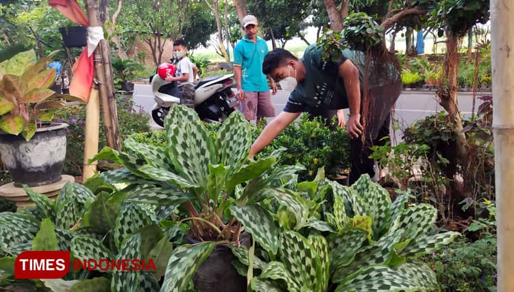 Sambut Lebaran 2022, Toko Bunga di Kota Probolinggo Diserbu Pembeli